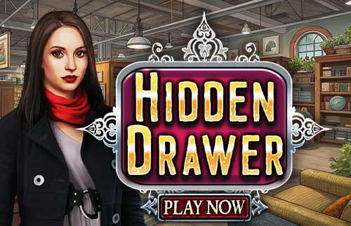 Hidden Drawer